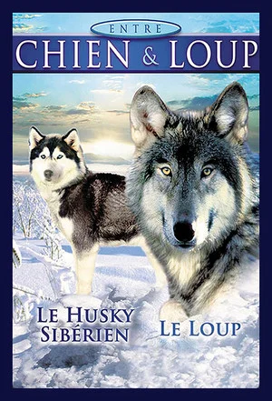 Постер: Between Dog and Wolf