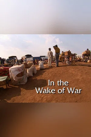 Постер: In the Wake of War