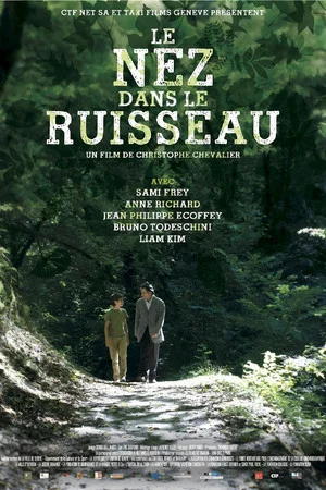 Постер: Le nez dans le ruisseau