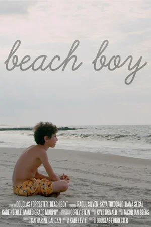 Постер: Beach Boy