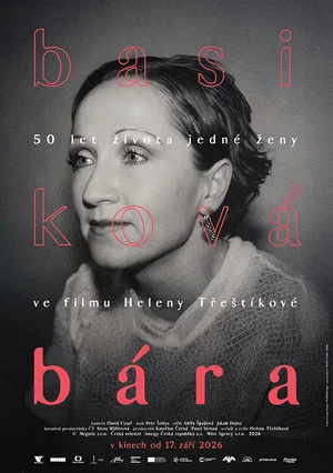 Постер: Bára - Diary of a Rockstar