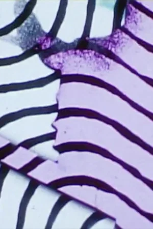 Постер: Pattern Impulse