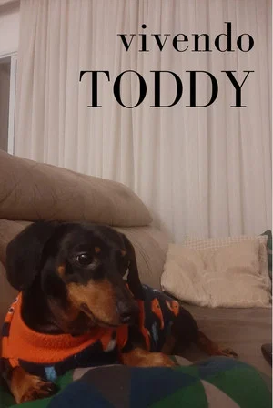 Постер: Vivendo Toddy