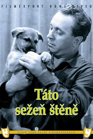 Постер: Táto sežeň štěně