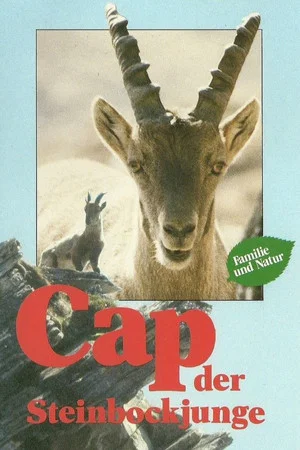 Постер: Cap der Steinbockjunge
