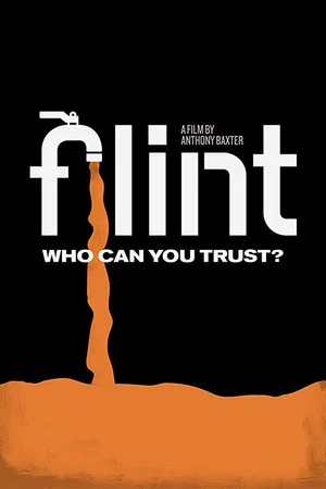 Постер: Flint