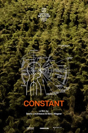 Постер: Constant