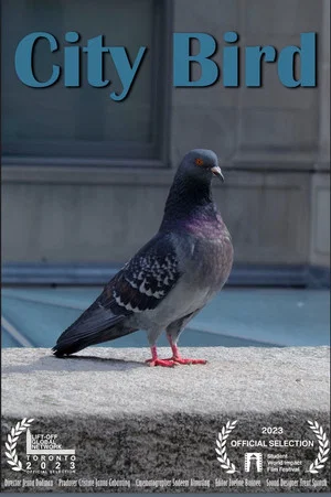 Постер: City Bird