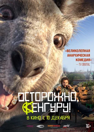 Постер: Осторожно, Кенгуру!