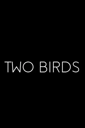 Постер: Two Birds