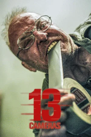 Постер: 13 камер