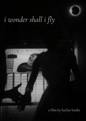 Постер: i wonder shall i fly