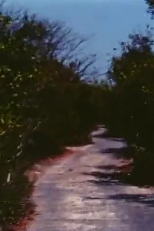 Постер: Road to Nowhere