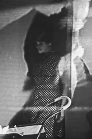 Постер: Superimposition