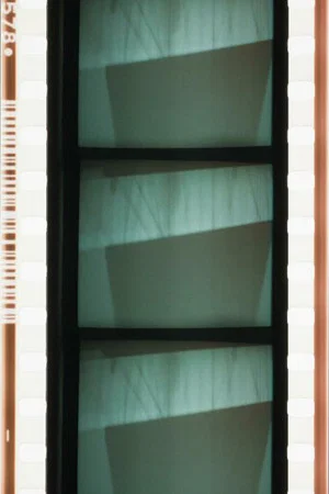 Постер: Projector Obscura