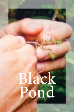 Постер: Black Pond