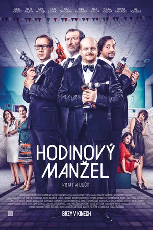 Постер: Husband to Rent
