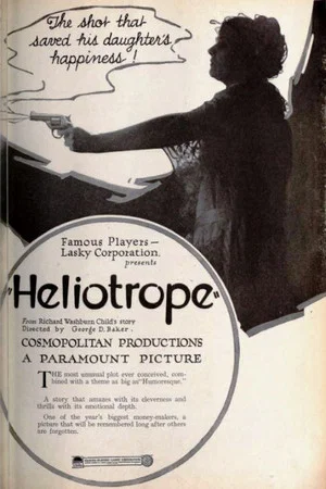 Постер: Heliotrope