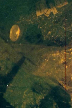 Постер: Detritus