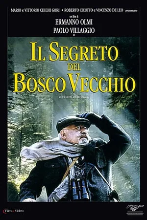 Постер: The Secret of the Old Woods