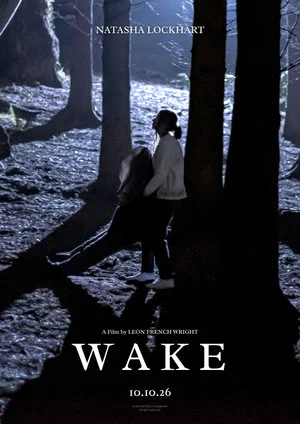 Постер: Wake