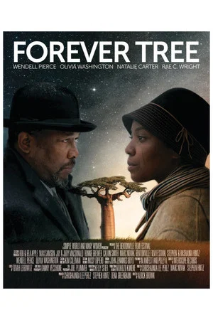 Постер: The Forever Tree