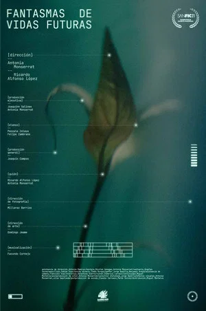 Постер: Ghost of future lives