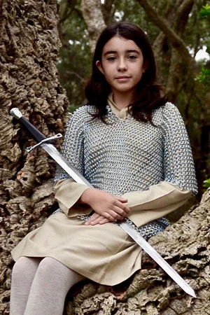 Постер: L'Enfant dans l'arbre - Histoire de chevalier