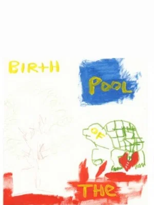 Постер: Birth of the Pool