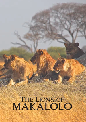 Постер: The Lions of Makalolo