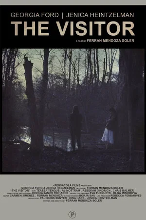 Постер: The Visitor