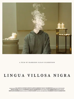 Постер: Lingua Villosa Nigra