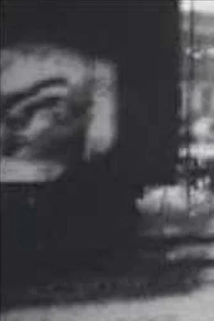 Постер: Death By Vibration