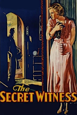 Постер: The Secret Witness