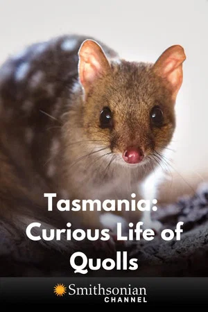 Постер: Tasmania: Curious Life of Quolls