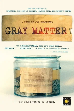 Постер: Gray Matter
