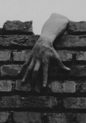 Постер: The Hole