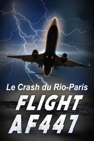 Постер: Vol AF 447, Le crash du Rio-Paris