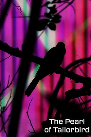 Постер: The Pearl of Tailorbird