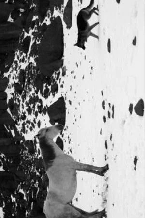 Постер: Little Block of Cement with Dishevelled Hair Containing the Sea