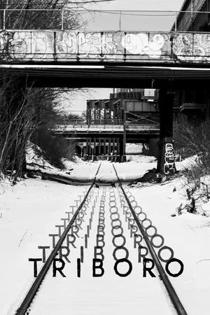 Постер: Triboro