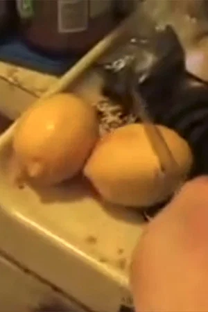 Постер: Special Christmas Turkey