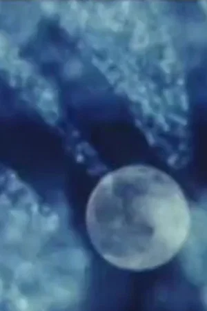 Постер: From the Ionosphere