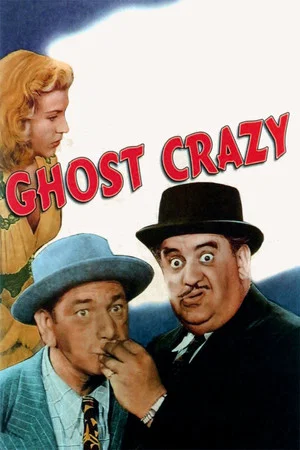 Постер: Crazy Knights
