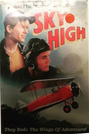 Постер: Sky High