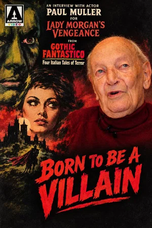 Постер: Born to Be A Villain