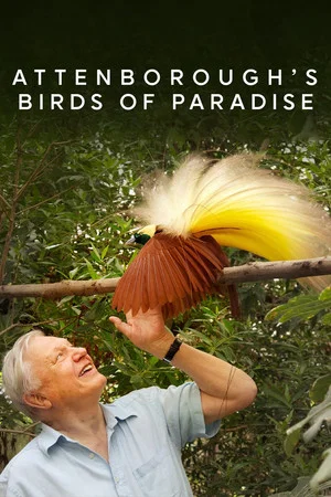 Постер: Birds of Paradise