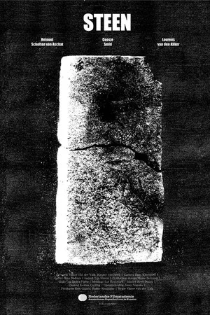 Постер: Brick