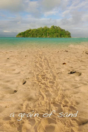 Постер: A Grain of Sand