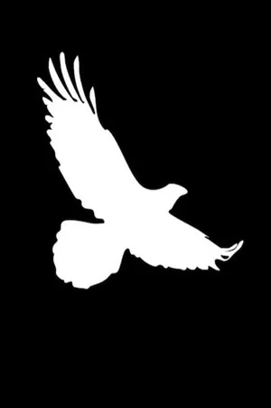 Постер: Bird on the Rise